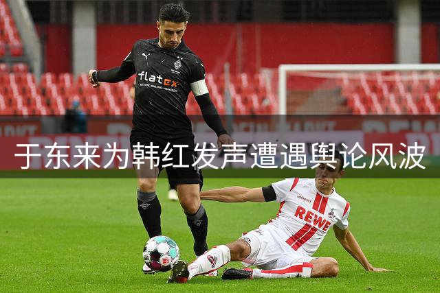 于东来为韩红发声遭遇舆论风波